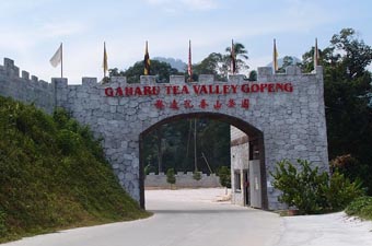 Gaharu Tea Valley Gopeng