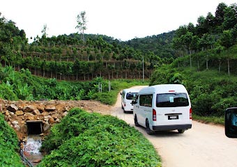 Gaharu Tea Valley Gopeng