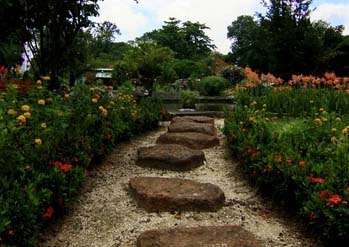 Japanese Garden