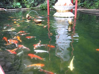 Kek Lok Tong Cave Temple