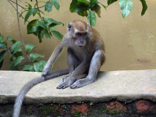 Kek Lok Tong Cave Temple