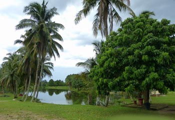 Perak Herbal Garden