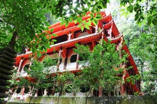 Sam Poh Tong Temple