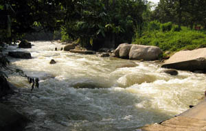 White Water Rafting at Kampar River in Gopeng